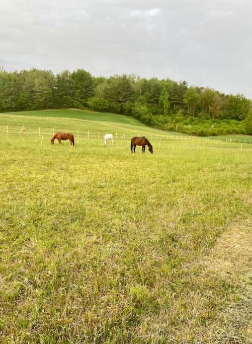 Appartamento In Cascina -La Cascinetta Di Ali- Roatto Eksteriør bilde