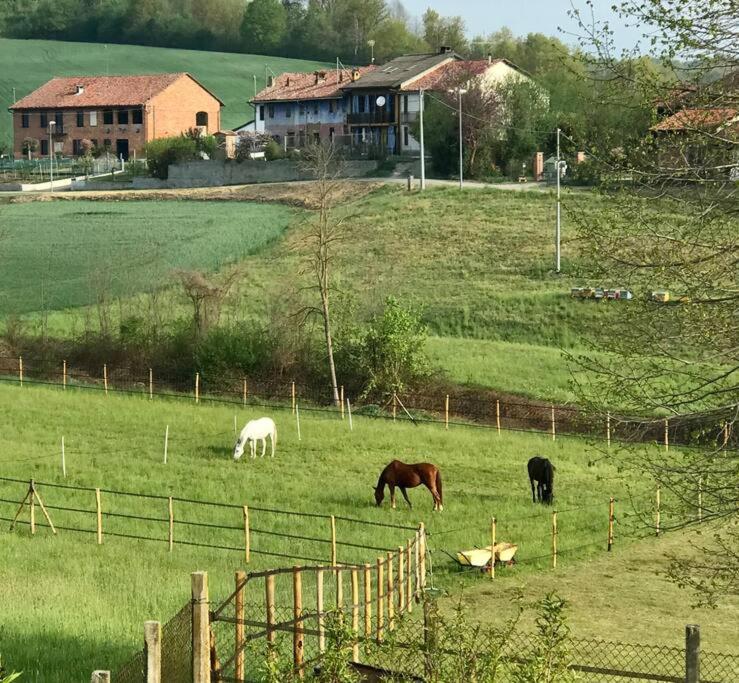 Appartamento In Cascina -La Cascinetta Di Ali- Roatto Eksteriør bilde